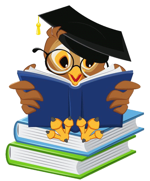 Lengua castellana y literatura 4t ESO 24-25